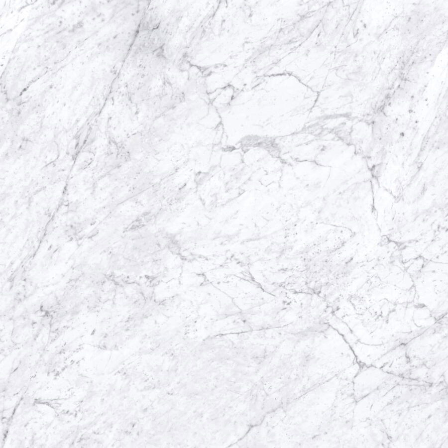 bianca carrara counter